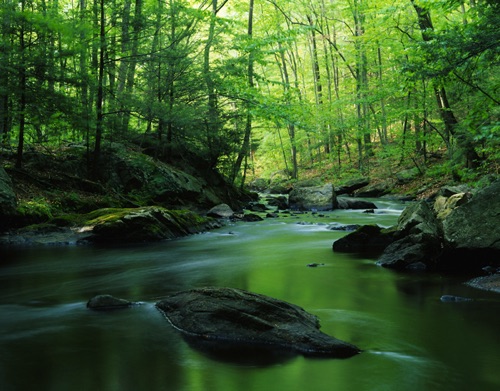 Black River, Black River Park, Morris County, NJ (MF).jpg